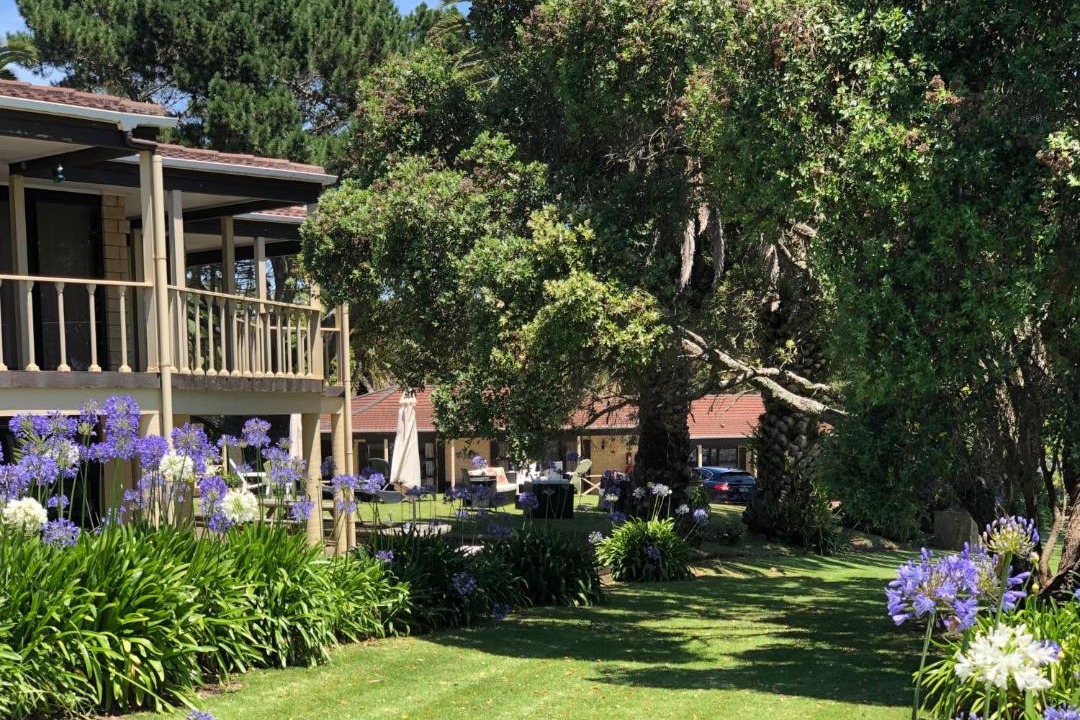 Photo of Others in Half Moon Bay