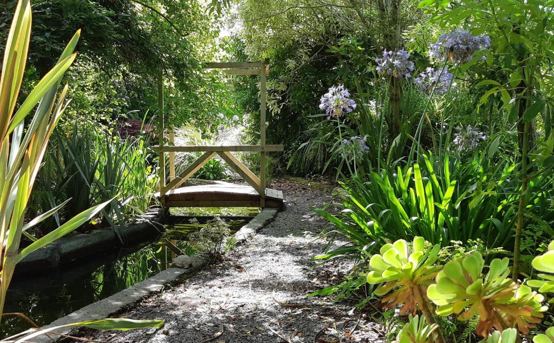 Photo of Others in Clive