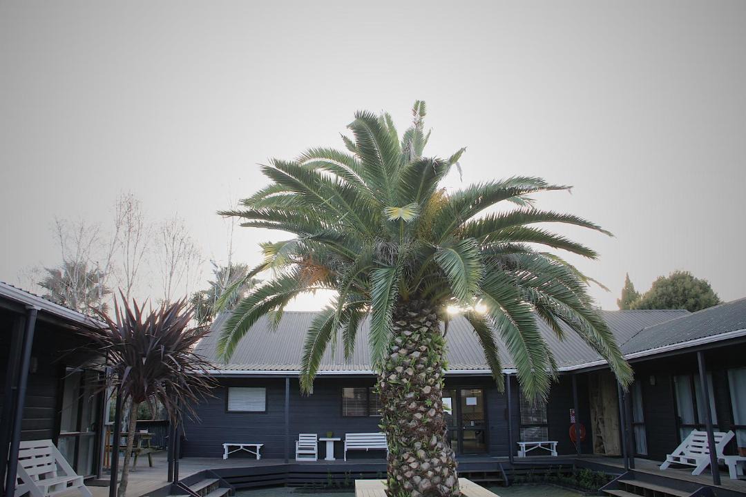 Photo of Others in Tauranga