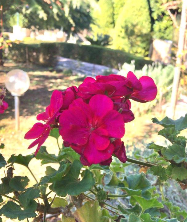 Photo of Outdoor in Agios Adrianos