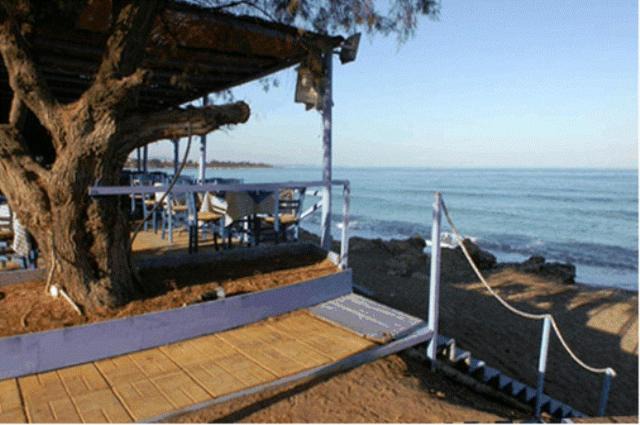 Photo of Others in Kalo Nero