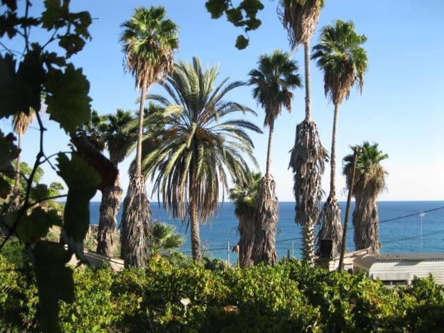 Photo of Others in Koroni
