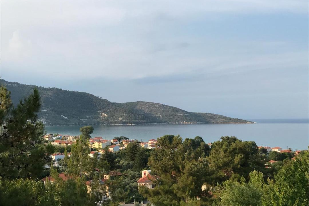 Photo of Others in Skala Potamias