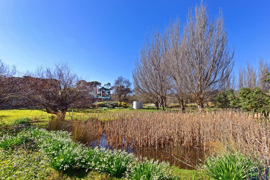 Photo of Others in South Bruny