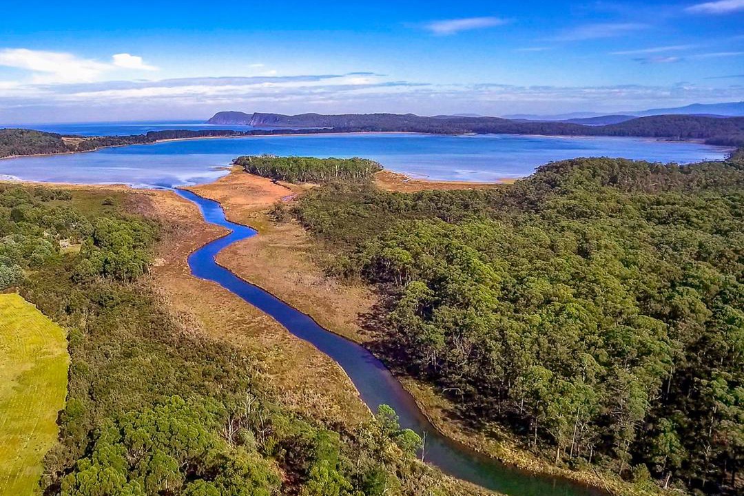 Photo of Others in South Bruny