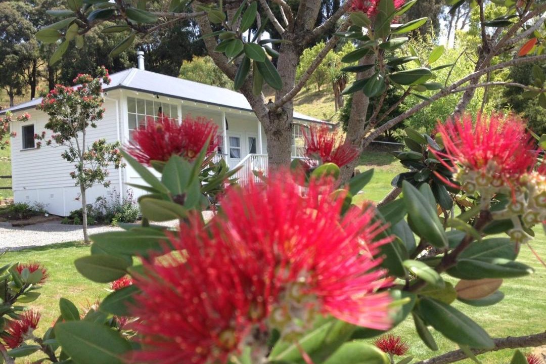 Photo of Others in Havelock North