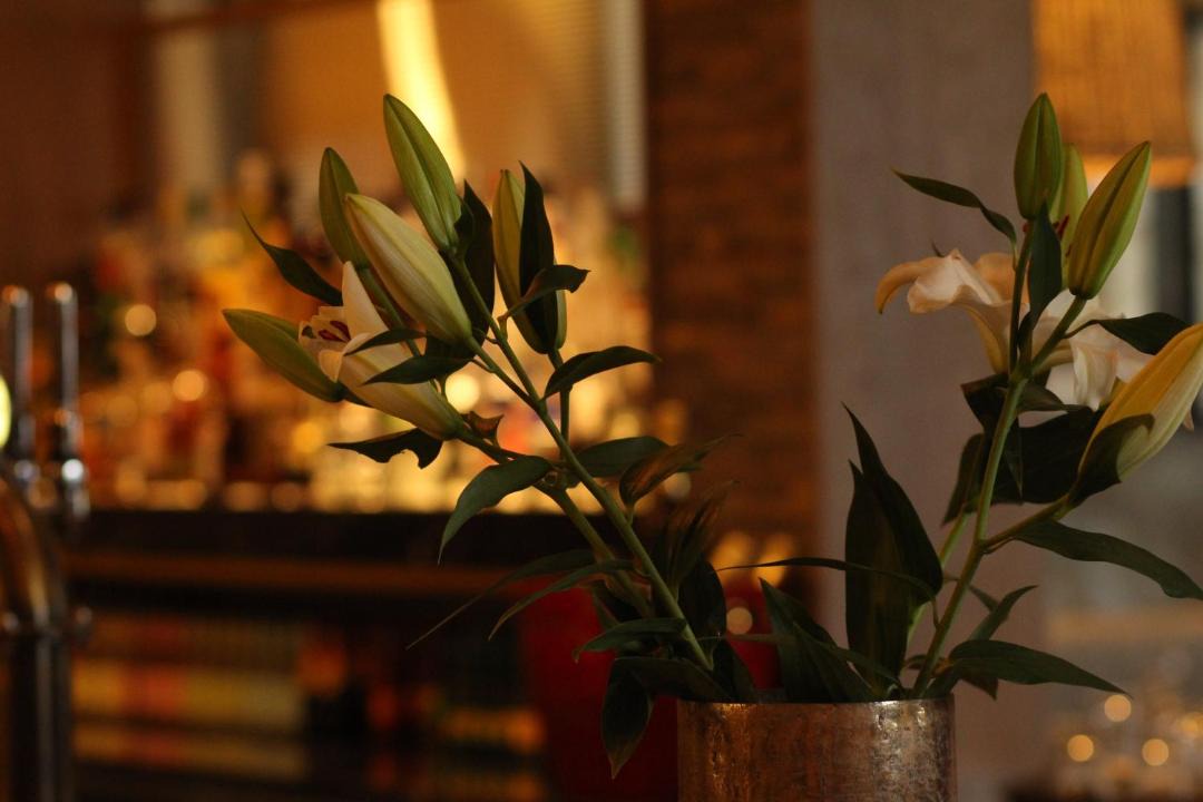 Photo of Others in Irvine