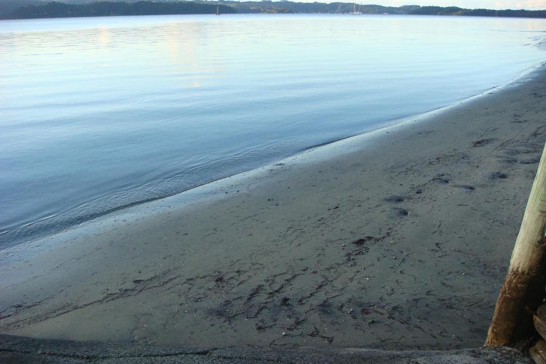 Photo of Others in One Tree Point