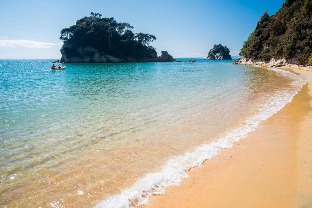 Photo of Others in Ngaio Bay