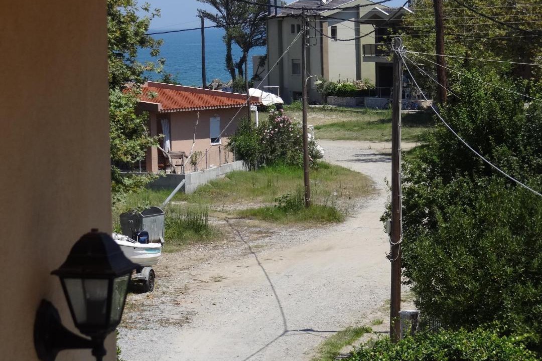 Photo of Others in Olympiada