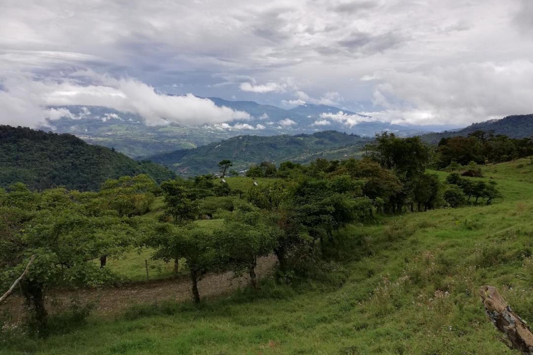 Photo of Others in Pacuare Reserve