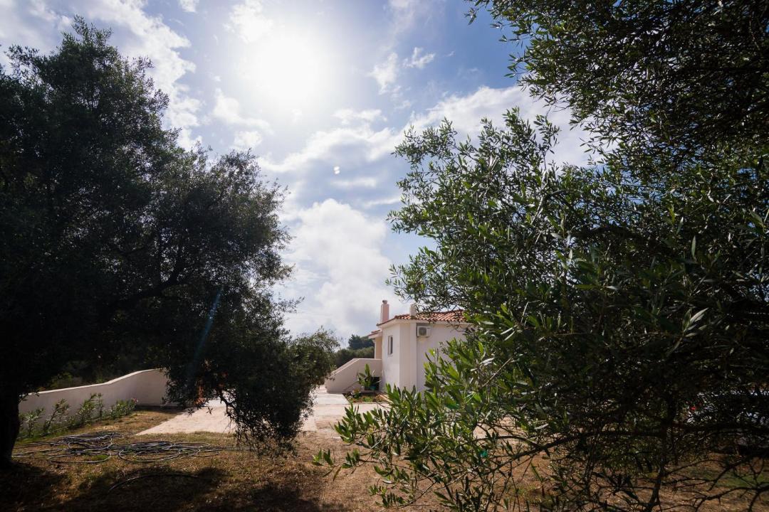 Photo of Others in Klismata