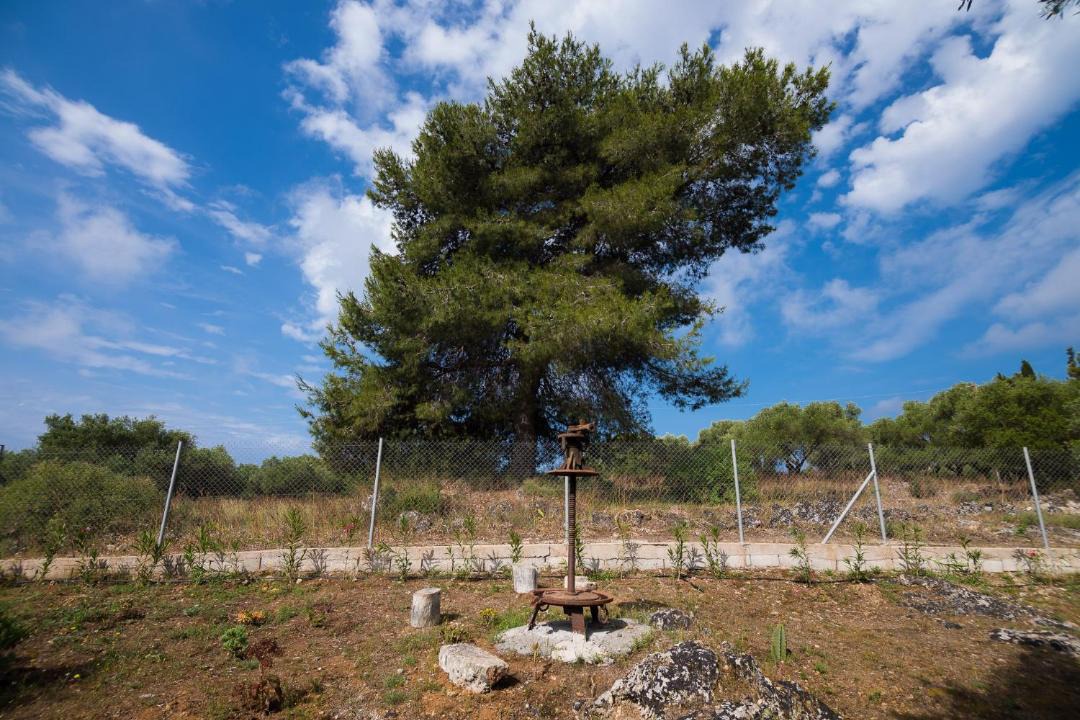 Photo of Outdoor in Klismata