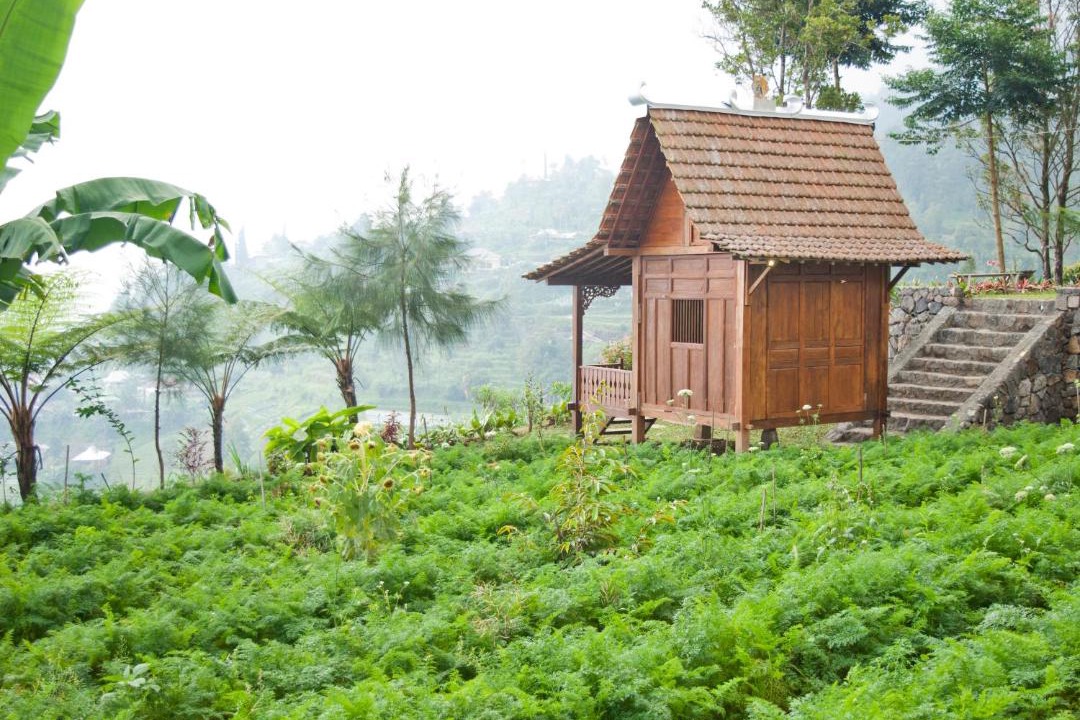Photo of Buildings in Hargomulyo