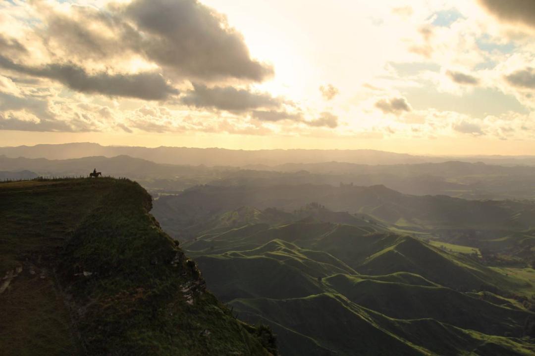 Photo of Others in Taihape