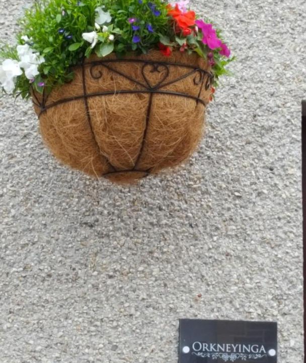 Photo of Others in Kirkwall