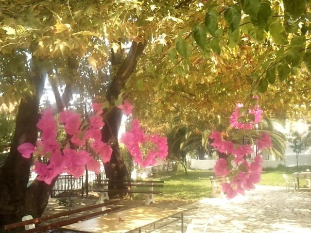 Photo of Others in Kokkinon Neron