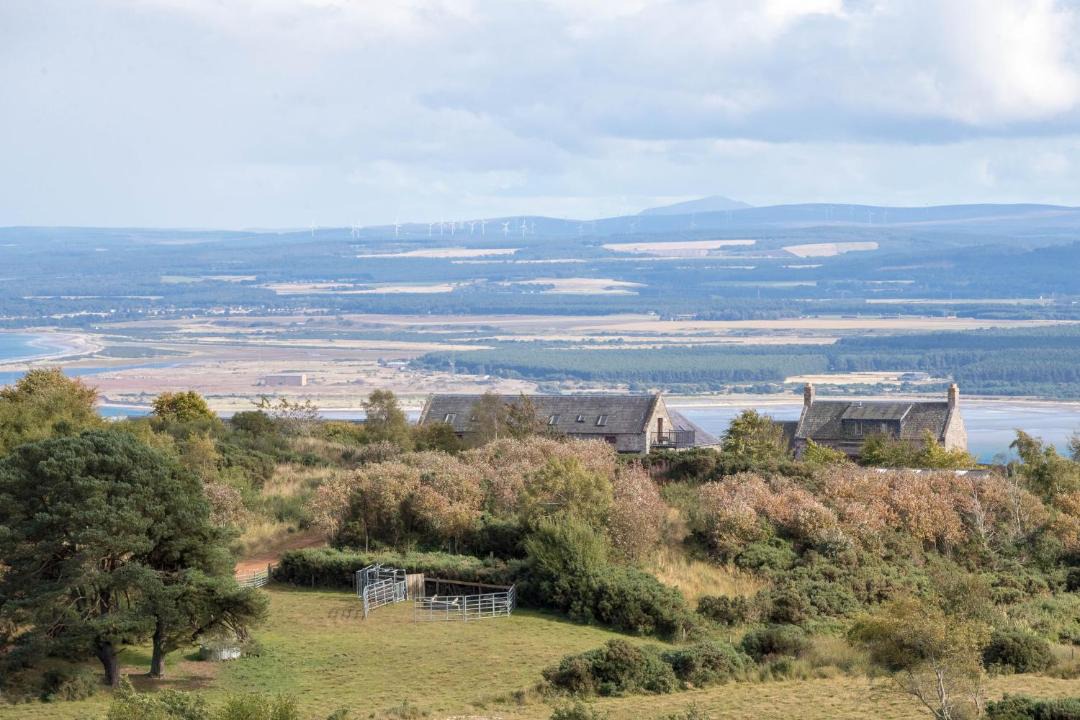 Photo of Others in Fortrose