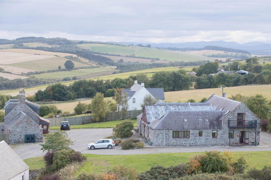 Photo of Others in Fortrose