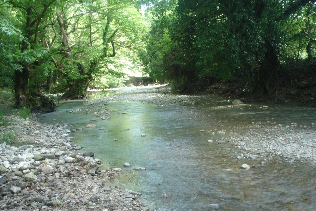 Photo of Outdoor in Thesprotiko