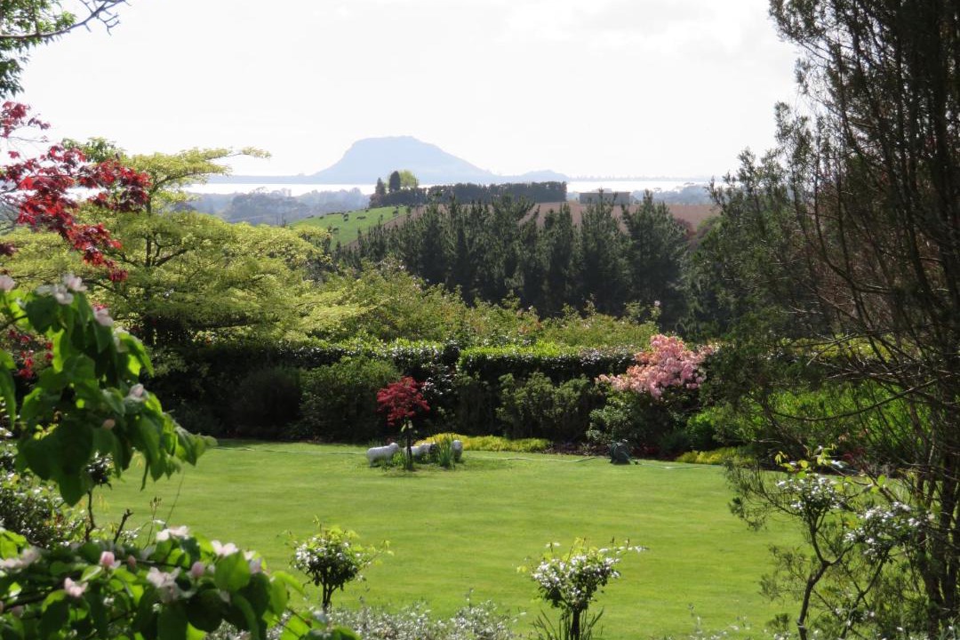 Photo of Others in Whakamarama
