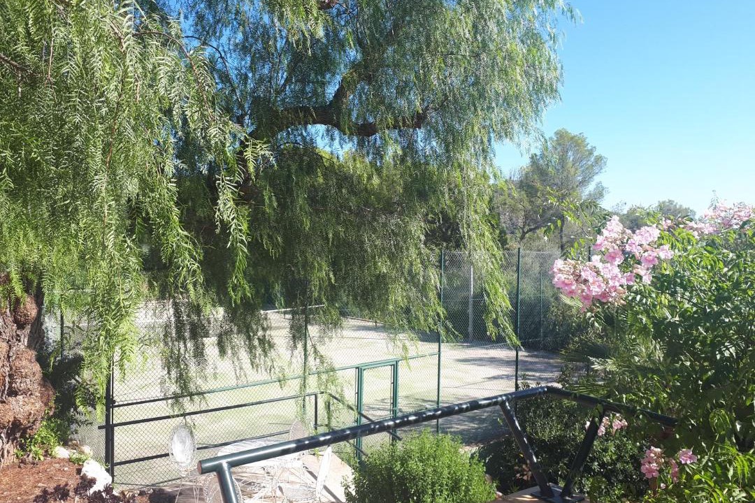 Photo of Others in Palma de Mallorca