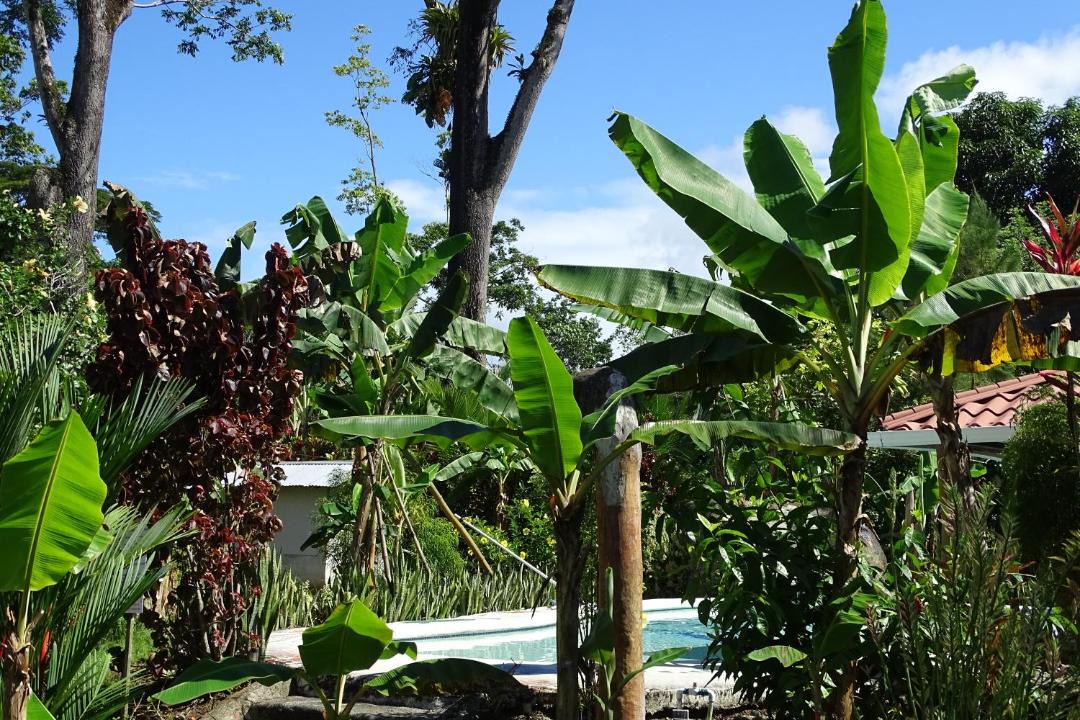 Photo of Others in Cahuita
