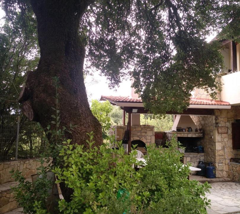 Photo of Buildings in Plati