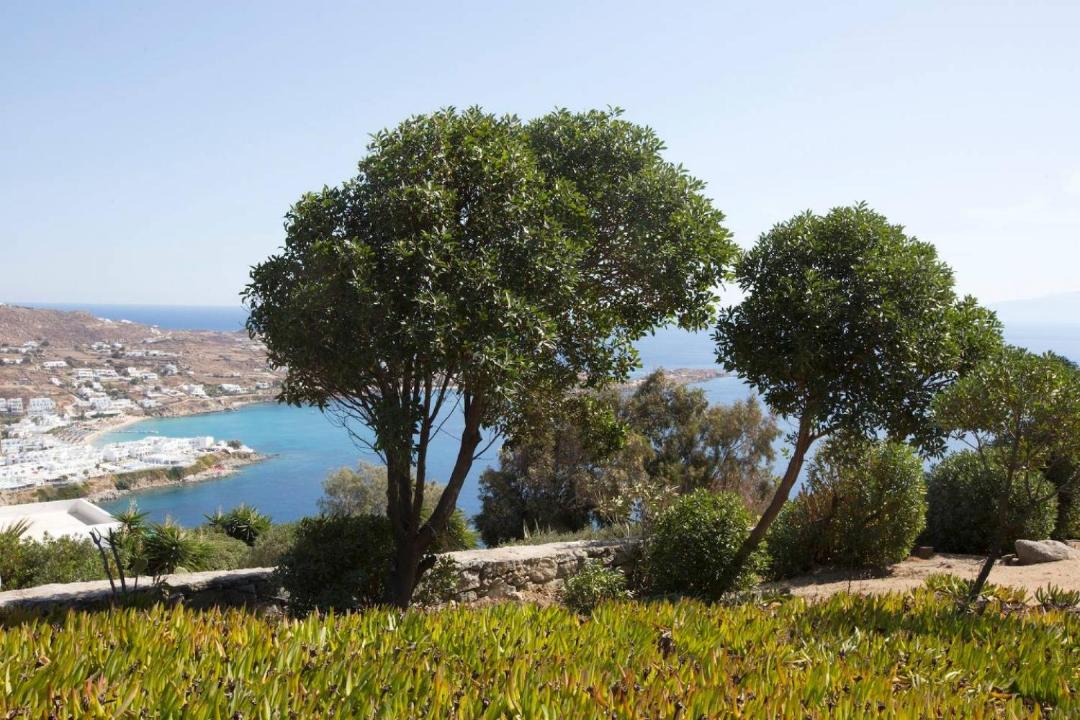 Photo of Outdoor in Psarou