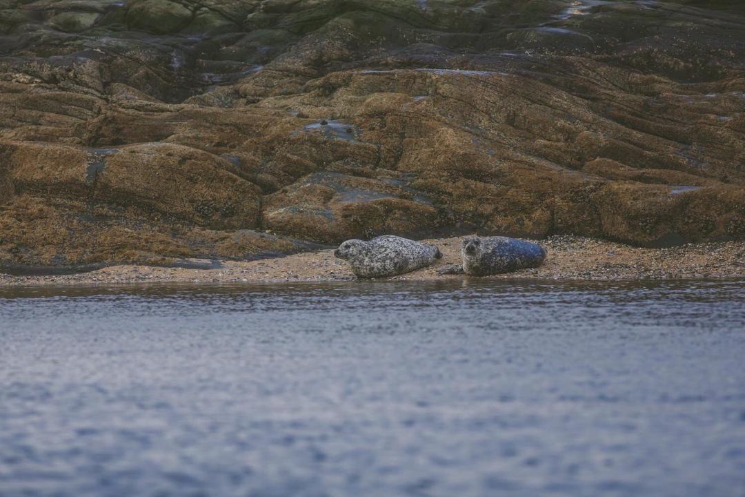 Photo of Outdoor in Tighnabruaich