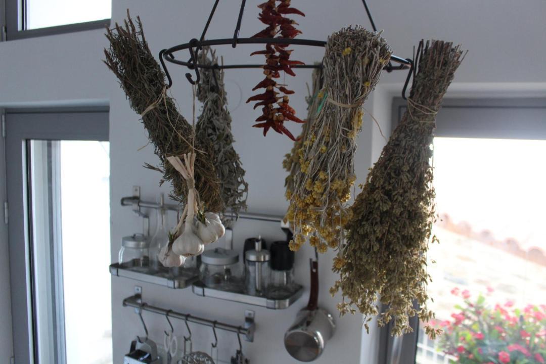 Photo of Others in Rodhia