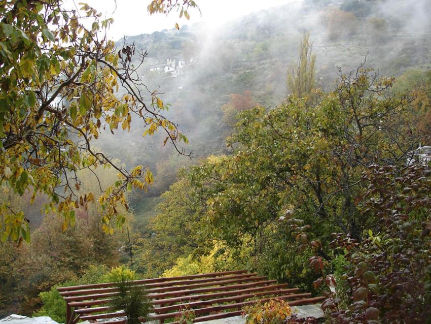 Photo of Others in Makrynitsa