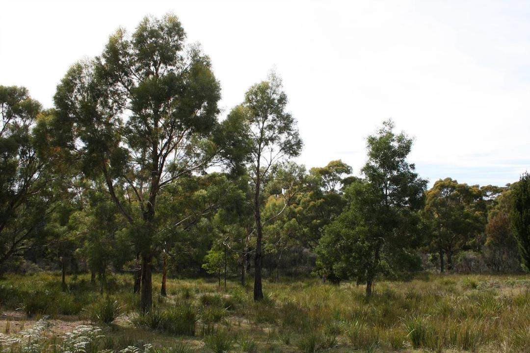 Photo of Others in Douglas River