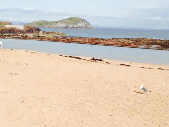Photo of Outdoor in Prestonpans