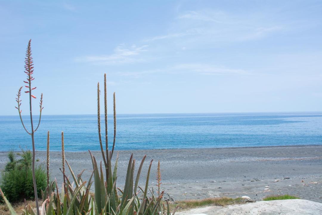 Photo of Others in Myrtos