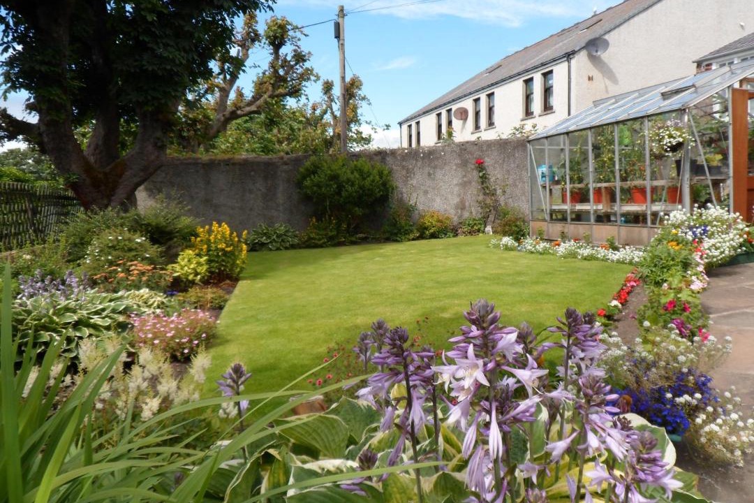 Photo of Buildings in Wick