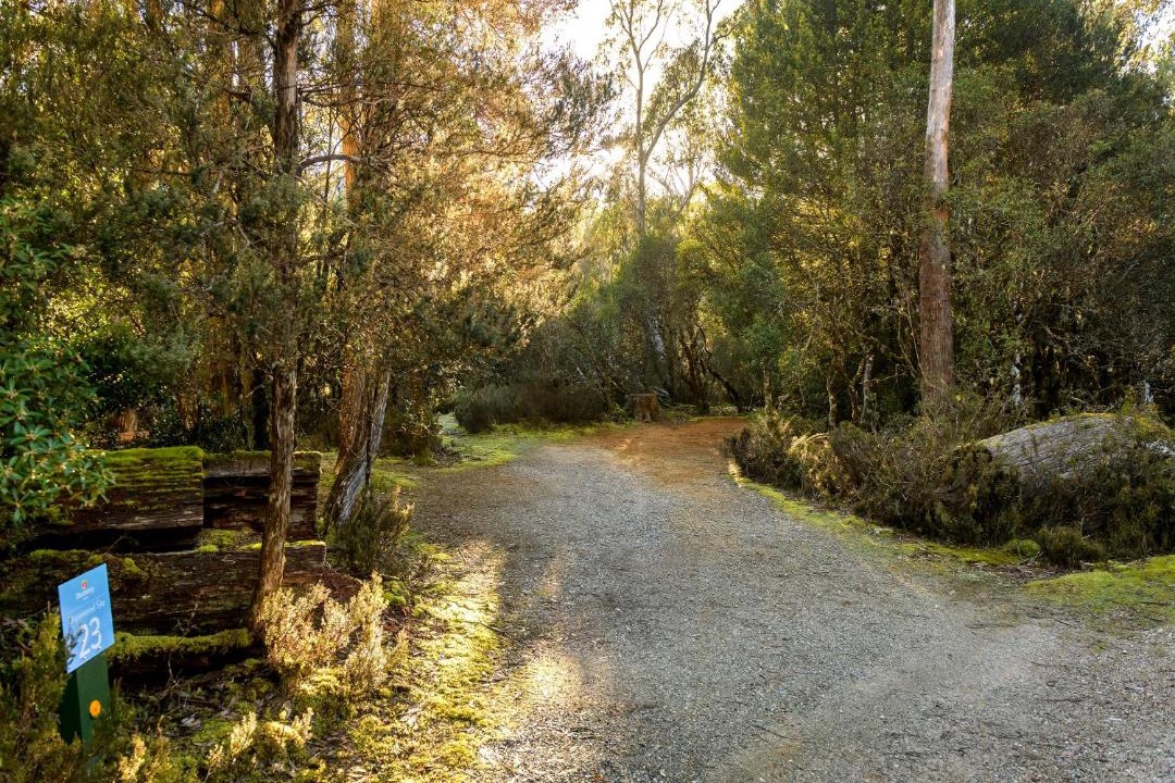 Photo of Others in Cradle Mountain