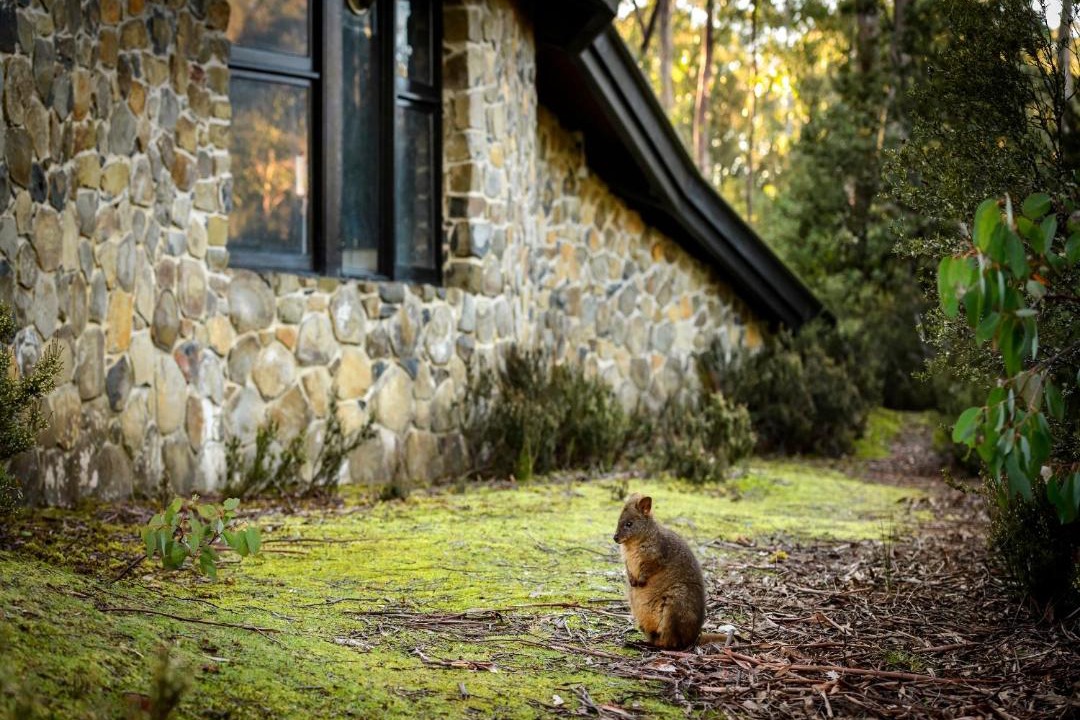 Photo of Others in Cradle Mountain