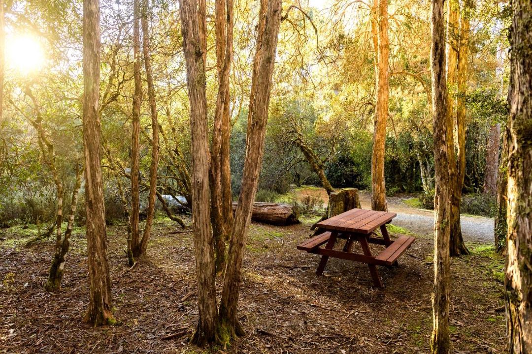 Photo of Others in Cradle Mountain