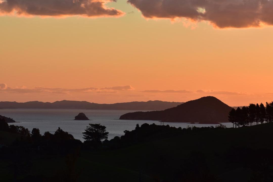 Photo of Others in Coromandel