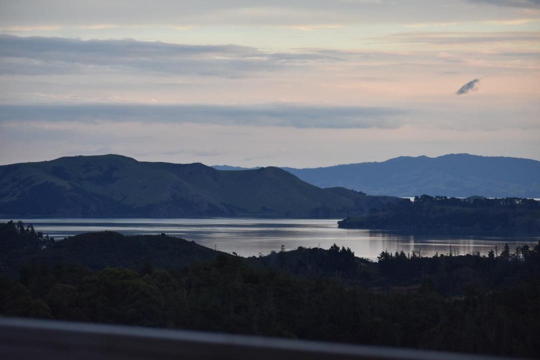 Photo of Others in Coromandel