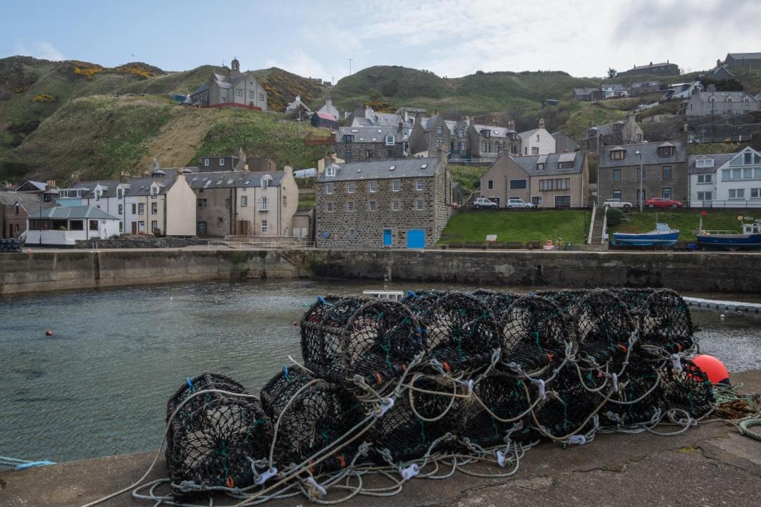 Photo of Others in Gardenstown