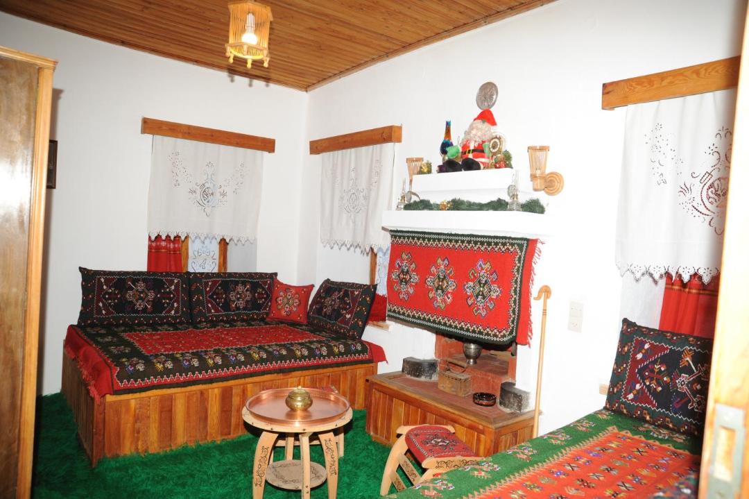 Photo of Livingroom in Metsovo