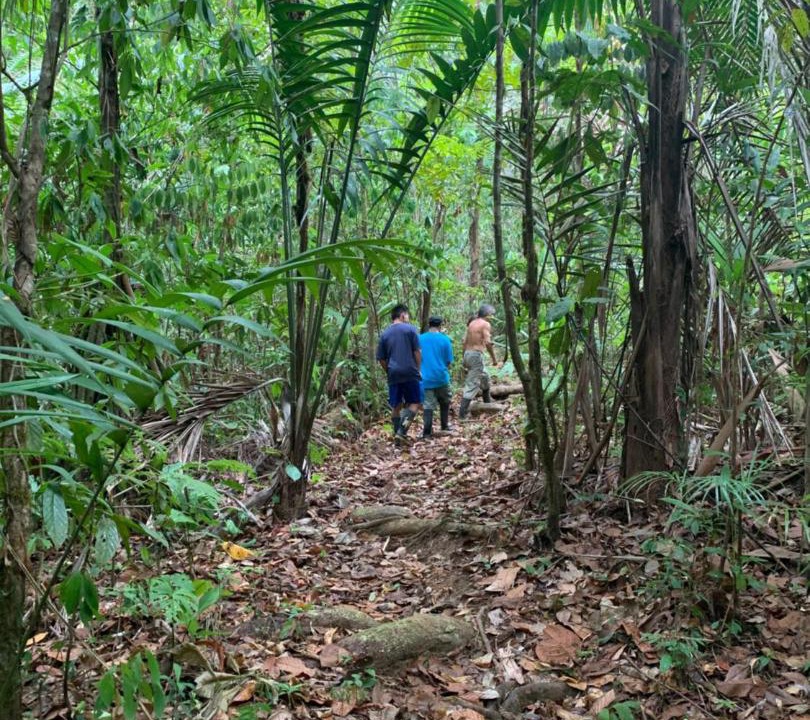 Photo of Others in Palma