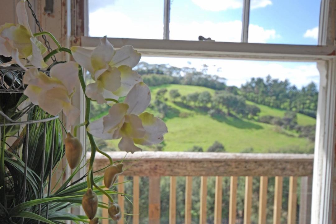 Photo of Others in Waimauku