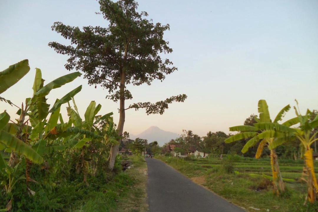 Photo of Others in Sinduharjo