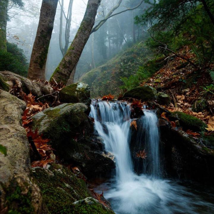 Photo of Outdoor in Nerotrivia