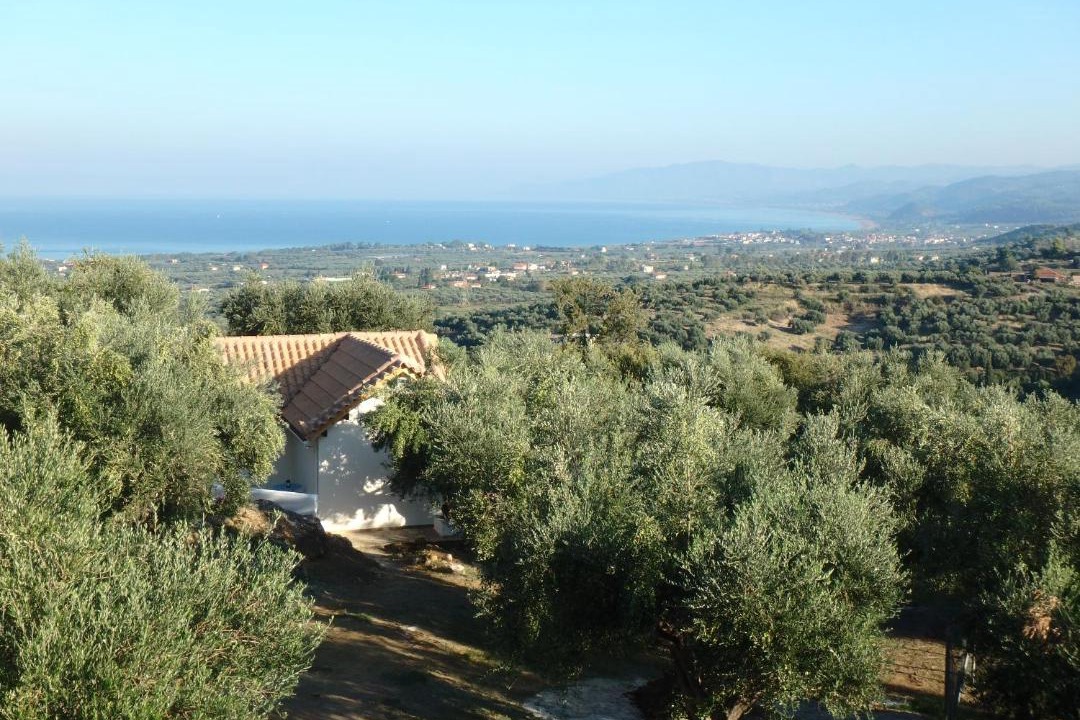 Photo of Others in Kiparissia