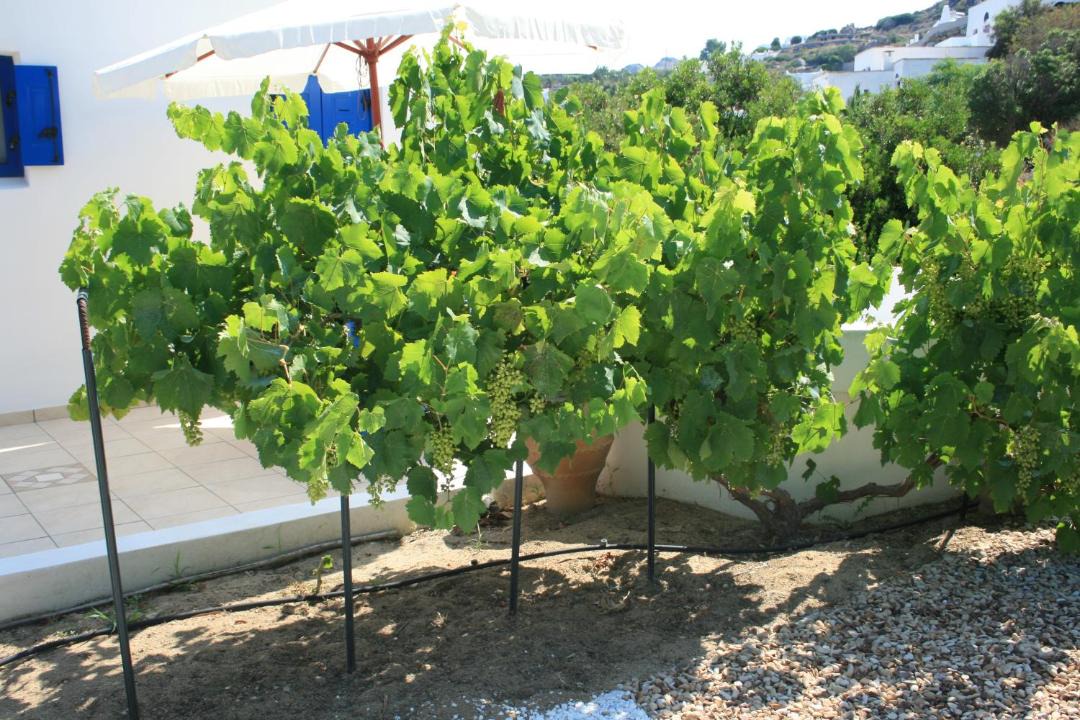 Photo of Others in Maragas