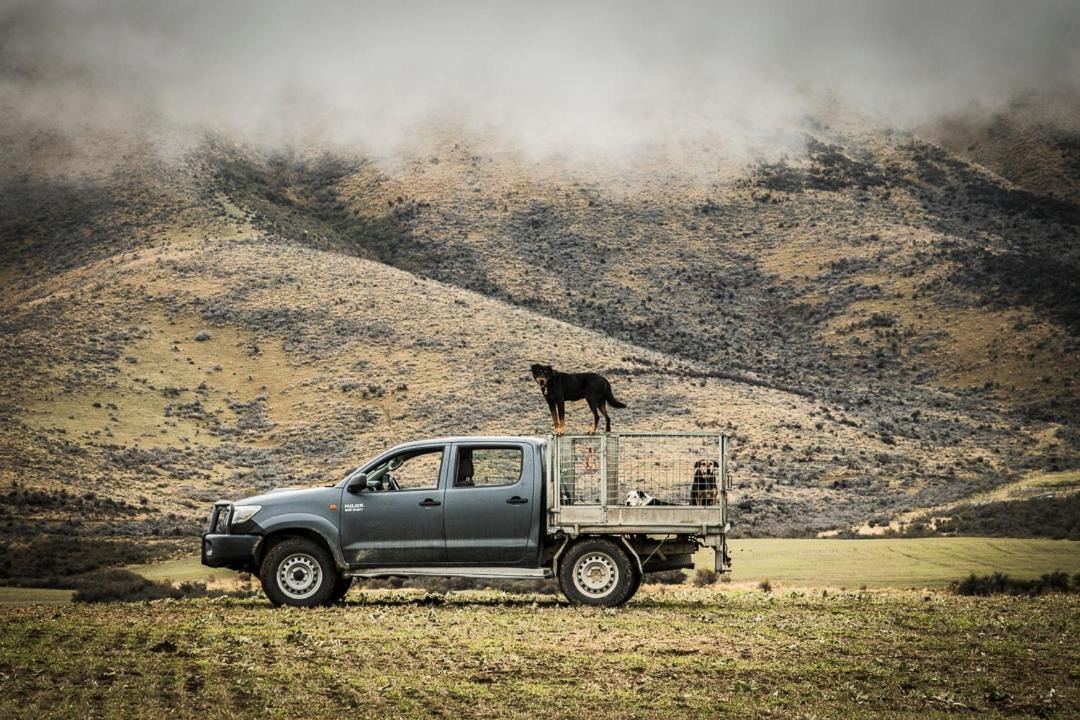 Photo of Others in Ben Ohau